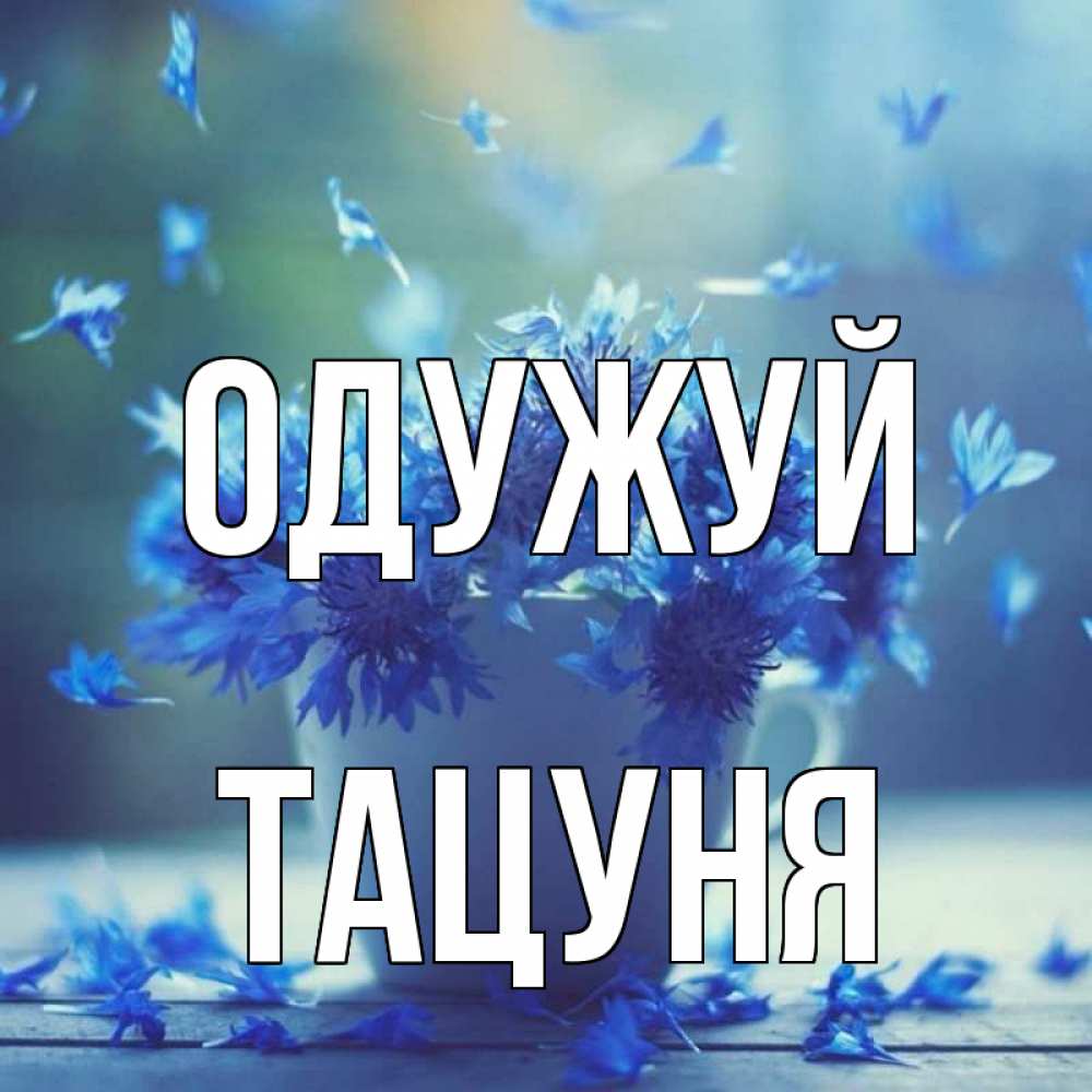 Открытка на каждый день з підписом, Тацуня Одужуй кружка с зельем и цветами Прикольна листівка з побажанням онлайн скачати безкоштовно 