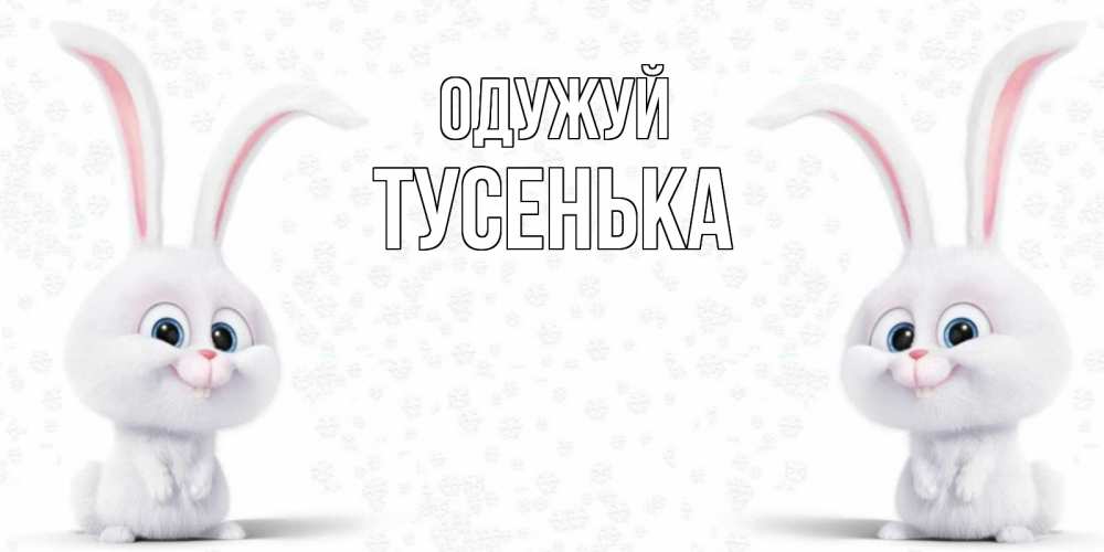 Открытка на каждый день з підписом, Тусенька Одужуй не болей с зайцем Прикольна листівка з побажанням онлайн скачати безкоштовно 