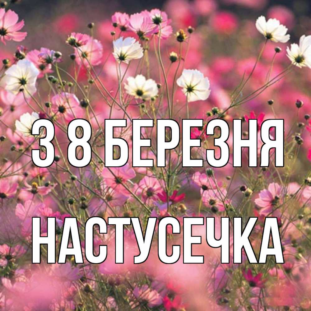 Открытка на каждый день з підписом, Настусечка З 8 БЕРЕЗНЯ красиво 1 Прикольна листівка з побажанням онлайн скачати безкоштовно 