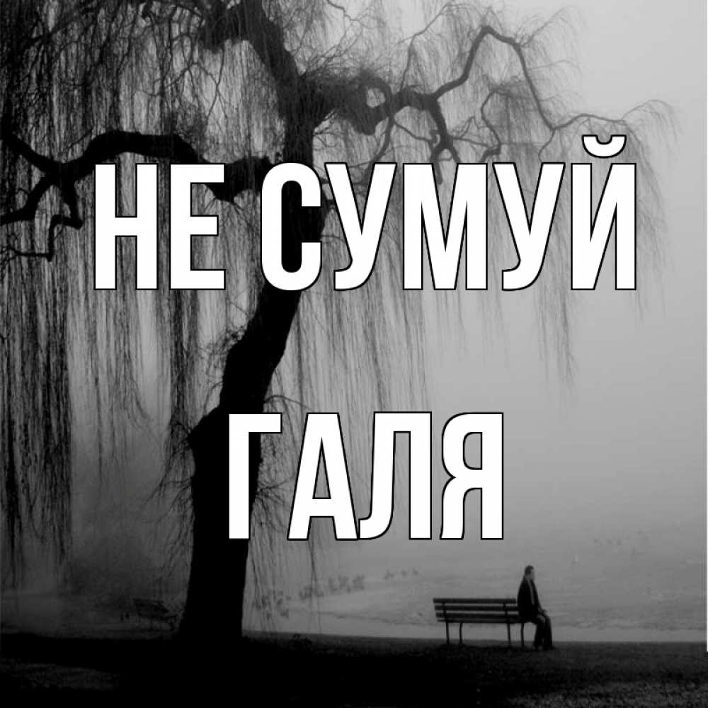Открытка на каждый день з підписом, Галя Не сумуй висящие ветки дерева и лавочка под деревом Прикольна листівка з побажанням онлайн скачати безкоштовно 