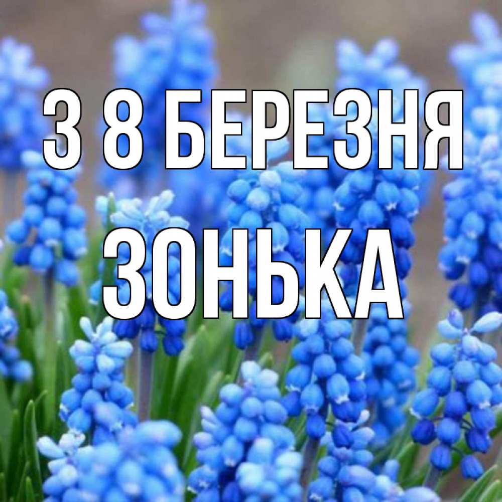 Открытка на каждый день з підписом, Зонька З 8 БЕРЕЗНЯ Поздравительная открытка для женщин с цветами на праздничную дату Прикольна листівка з побажанням онлайн скачати безкоштовно 