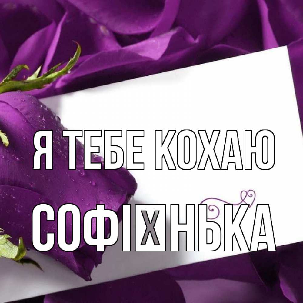 Открытка на каждый день з підписом, Софієнька Я тебе кохаю роза Прикольна листівка з побажанням онлайн скачати безкоштовно 