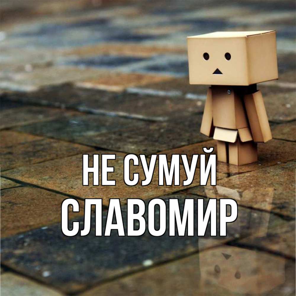 Открытка на каждый день з підписом, Славомир Не сумуй Стив Прикольна листівка з побажанням онлайн скачати безкоштовно 