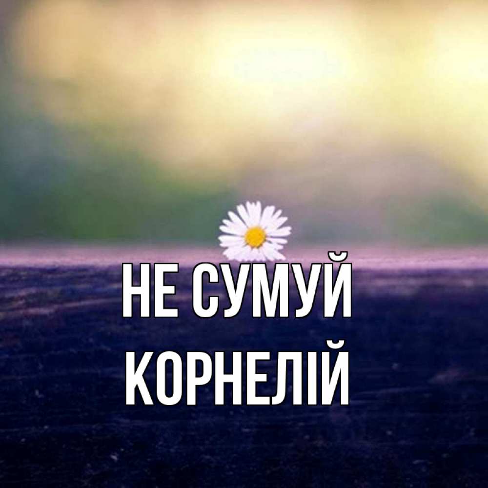 Открытка на каждый день з підписом, Корнелій Не сумуй красота Прикольна листівка з побажанням онлайн скачати безкоштовно 