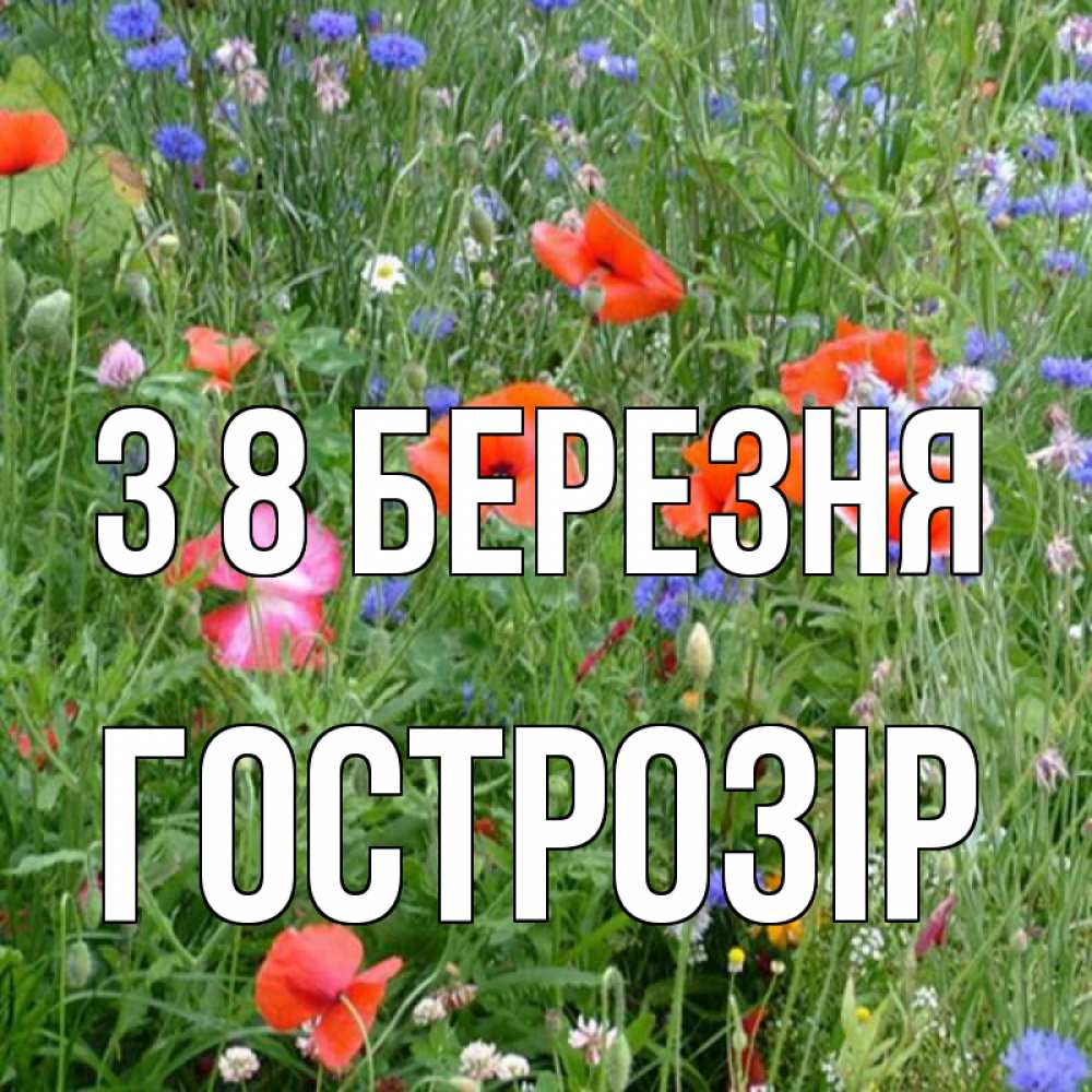 Открытка на каждый день з підписом, Гострозір З 8 БЕРЕЗНЯ международный женский день 4 Прикольна листівка з побажанням онлайн скачати безкоштовно 