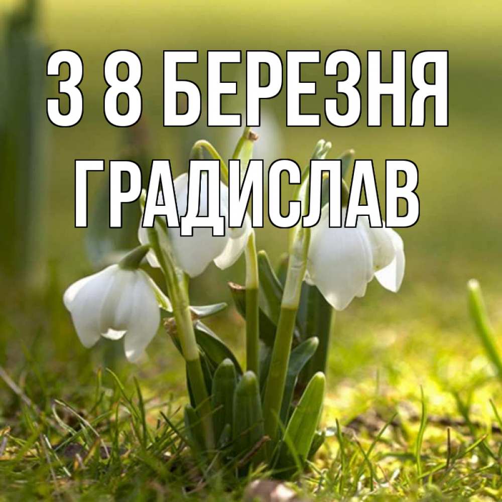 Открытка на каждый день з підписом, Градислав З 8 БЕРЕЗНЯ ранние цветы 2 Прикольна листівка з побажанням онлайн скачати безкоштовно 