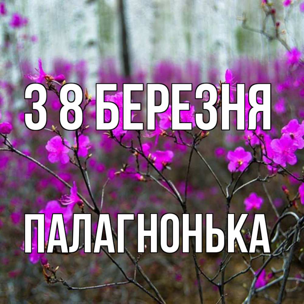 Открытка на каждый день з підписом, Палагнонька З 8 БЕРЕЗНЯ дикие цветы Прикольна листівка з побажанням онлайн скачати безкоштовно 