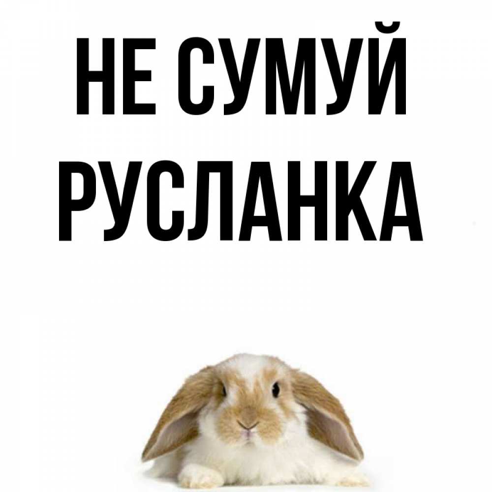 Открытка на каждый день з підписом, Русланка Не сумуй коричнево белый заяц с большими ушками Прикольна листівка з побажанням онлайн скачати безкоштовно 