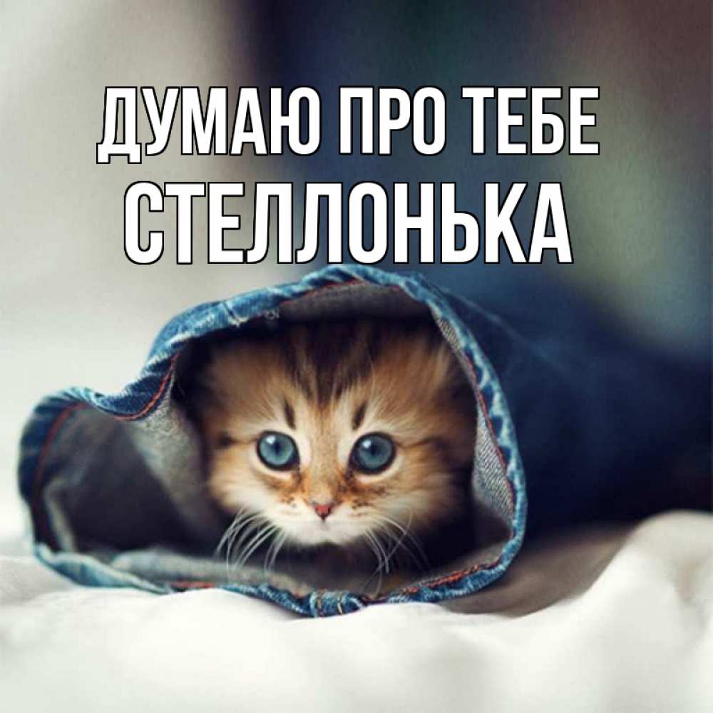 Открытка на каждый день з підписом, Стеллонька Думаю про тебе мне без тебя плохо Прикольна листівка з побажанням онлайн скачати безкоштовно 