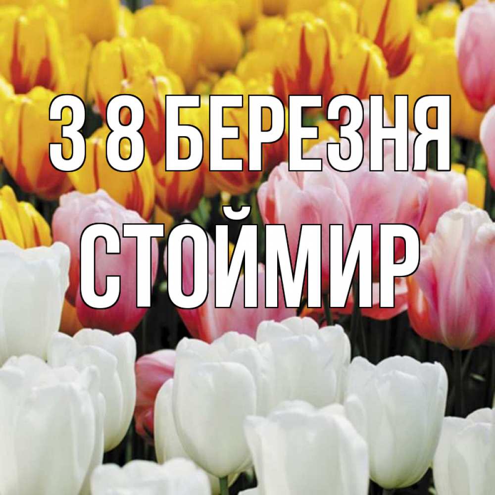 Открытка на каждый день з підписом, Стоймир З 8 БЕРЕЗНЯ разноцветные цветы Прикольна листівка з побажанням онлайн скачати безкоштовно 