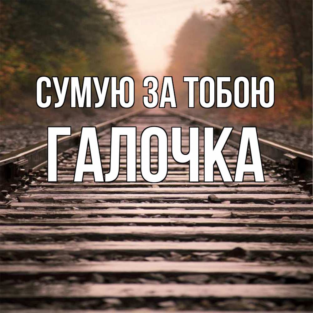 Открытка на каждый день з підписом, Галочка Сумую за тобою приезжай Прикольна листівка з побажанням онлайн скачати безкоштовно 