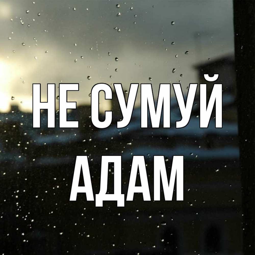Открытка на каждый день з підписом, Адам Не сумуй вид на крыши Прикольна листівка з побажанням онлайн скачати безкоштовно 