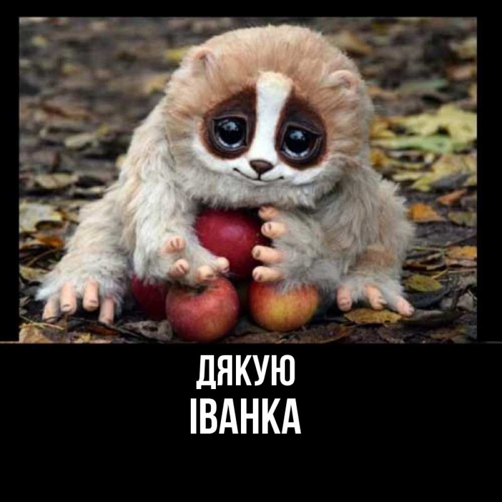 Открытка на каждый день з підписом, Іванка Дякую прикольное животное Прикольна листівка з побажанням онлайн скачати безкоштовно 