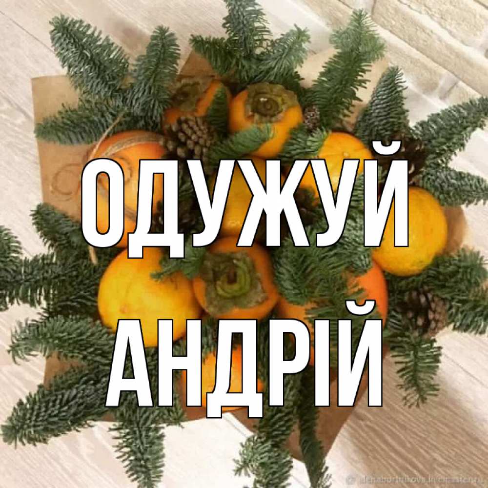 Открытка на каждый день з підписом, Андрій Одужуй апельсины и хурьма Прикольна листівка з побажанням онлайн скачати безкоштовно 