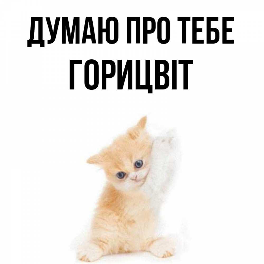 Открытка на каждый день з підписом, Горицвіт Думаю про тебе зверушки и милота Прикольна листівка з побажанням онлайн скачати безкоштовно 