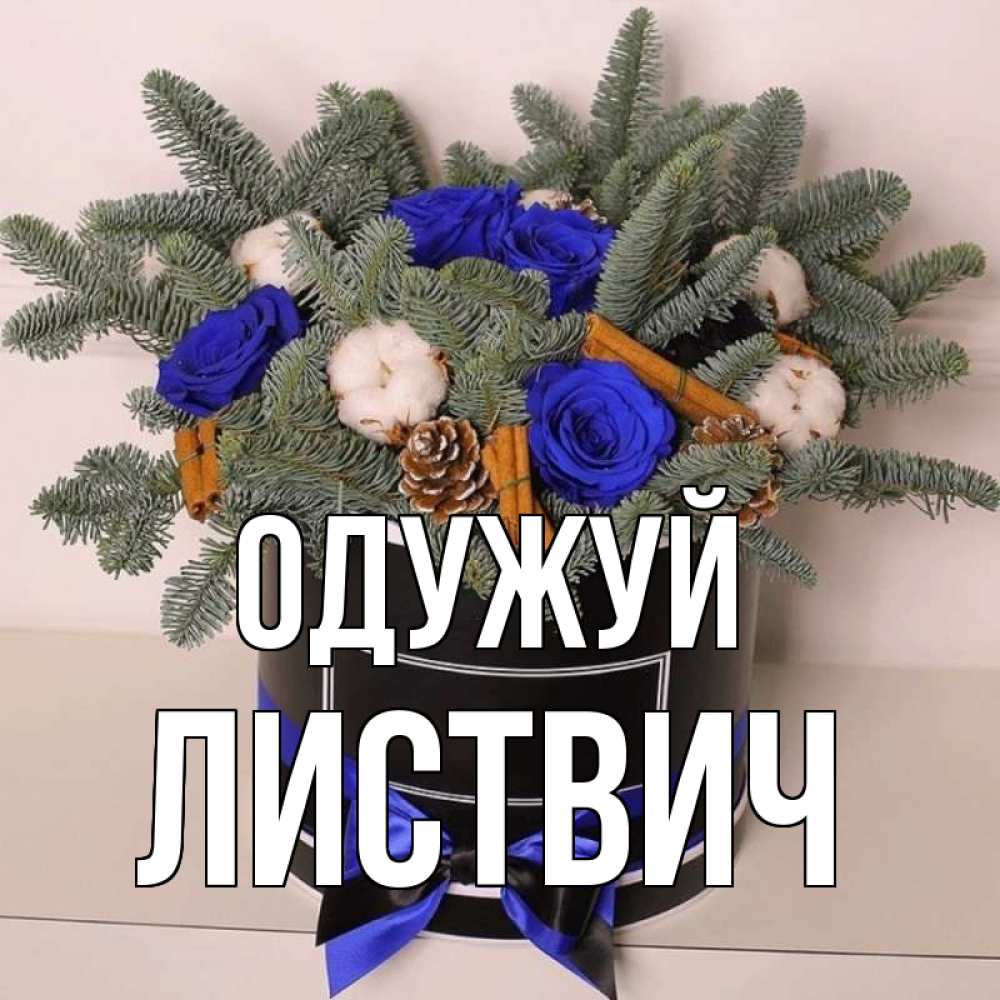 Открытка на каждый день з підписом, Листвич Одужуй короче кто то загрузил эти шишки Прикольна листівка з побажанням онлайн скачати безкоштовно 