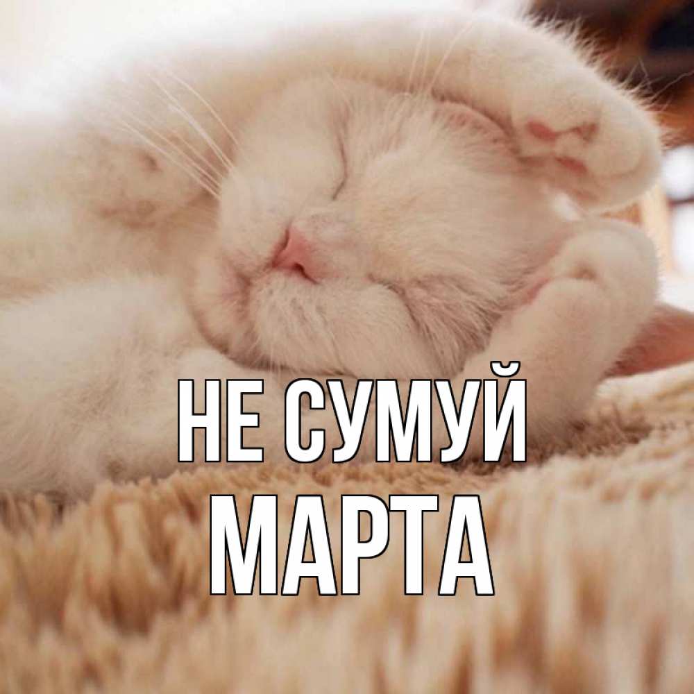Открытка на каждый день з підписом, Марта Не сумуй белый кот Прикольна листівка з побажанням онлайн скачати безкоштовно 