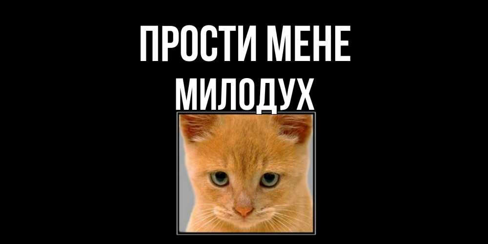 Открытка на каждый день з підписом, Милодух Прости мене рыжий грустный кот просит прощения Прикольна листівка з побажанням онлайн скачати безкоштовно 