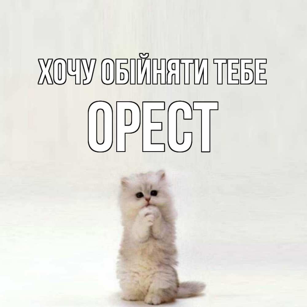 Открытка на каждый день з підписом, Орест Хочу обійняти тебе открытки с креативными подписями Прикольна листівка з побажанням онлайн скачати безкоштовно 