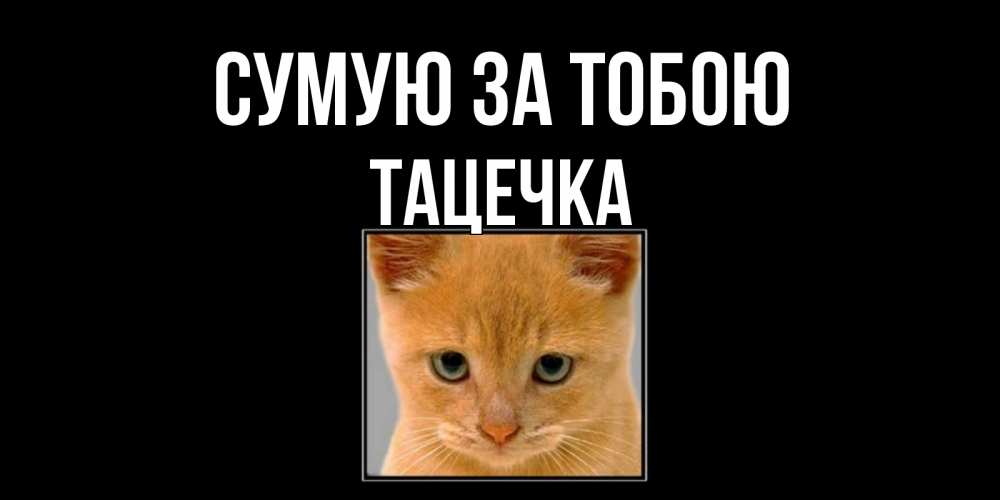 Открытка на каждый день з підписом, Тацечка Сумую за тобою открытки рыжий котенок скучает по тебе Прикольна листівка з побажанням онлайн скачати безкоштовно 