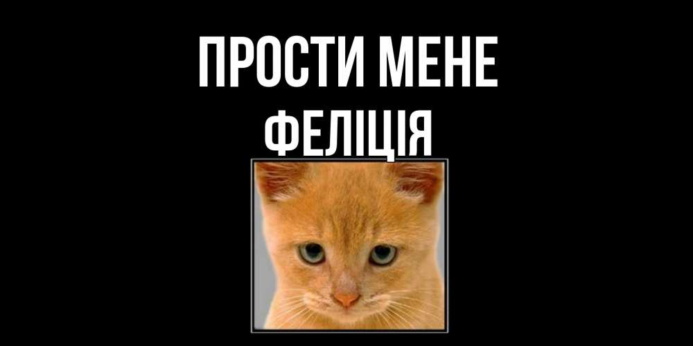 Открытка на каждый день з підписом, Феліція Прости мене рыжий грустный кот просит прощения Прикольна листівка з побажанням онлайн скачати безкоштовно 