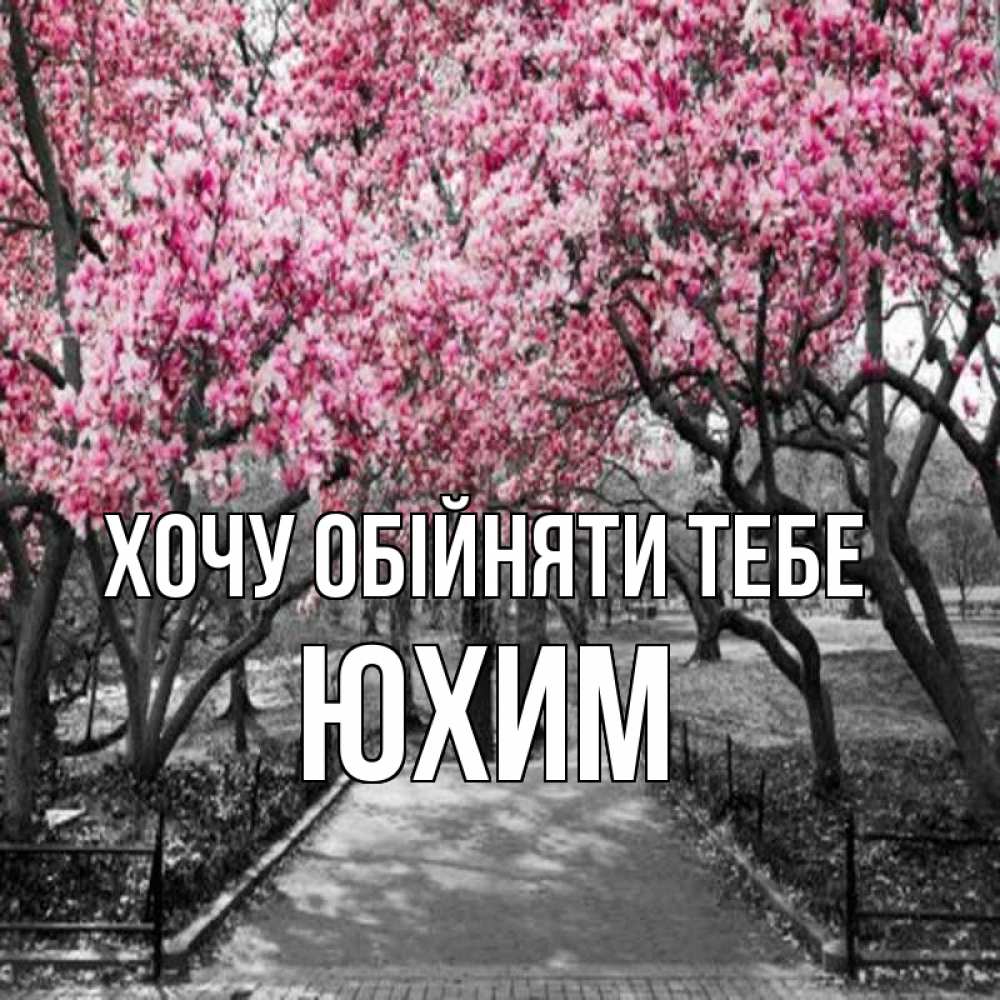 Открытка на каждый день з підписом, Юхим Хочу обійняти тебе обработанное фото Прикольна листівка з побажанням онлайн скачати безкоштовно 