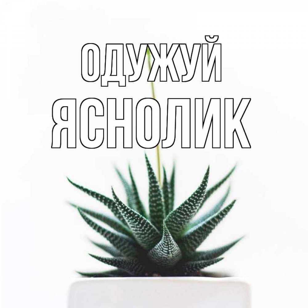 Открытка на каждый день з підписом, Яснолик Одужуй короче это непонятная колючка Прикольна листівка з побажанням онлайн скачати безкоштовно 