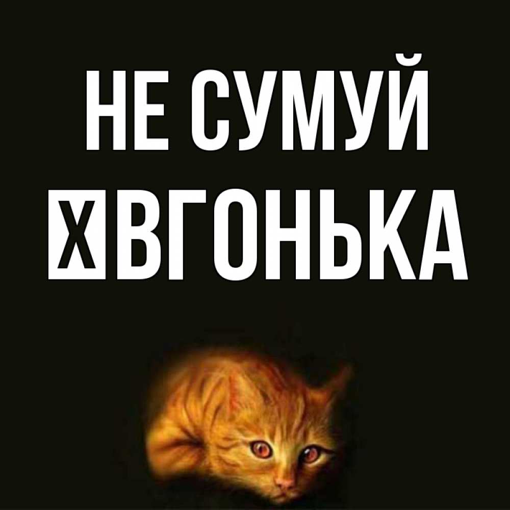 Открытка на каждый день з підписом, Ївгонька Не сумуй лежащий кот в темноте Прикольна листівка з побажанням онлайн скачати безкоштовно 
