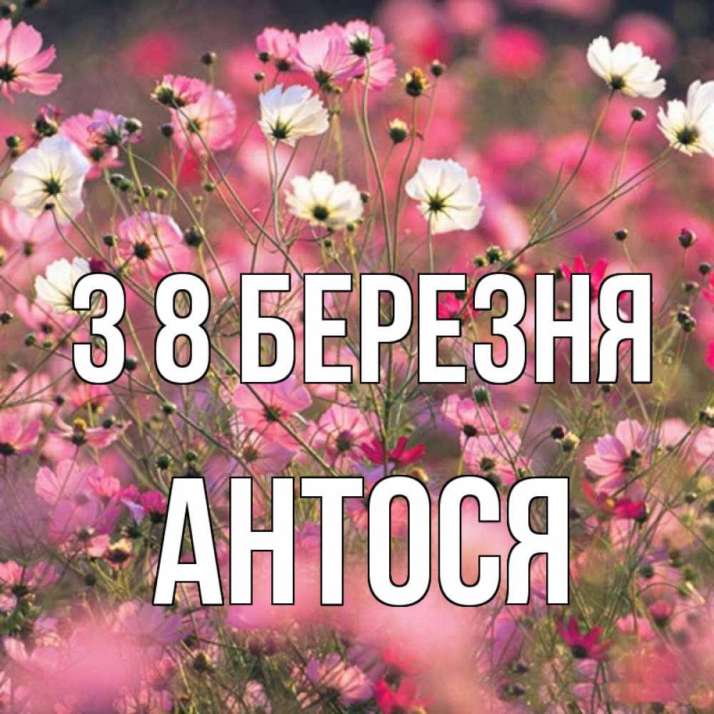 Открытка на каждый день з підписом, Антося З 8 БЕРЕЗНЯ красиво 1 Прикольна листівка з побажанням онлайн скачати безкоштовно 