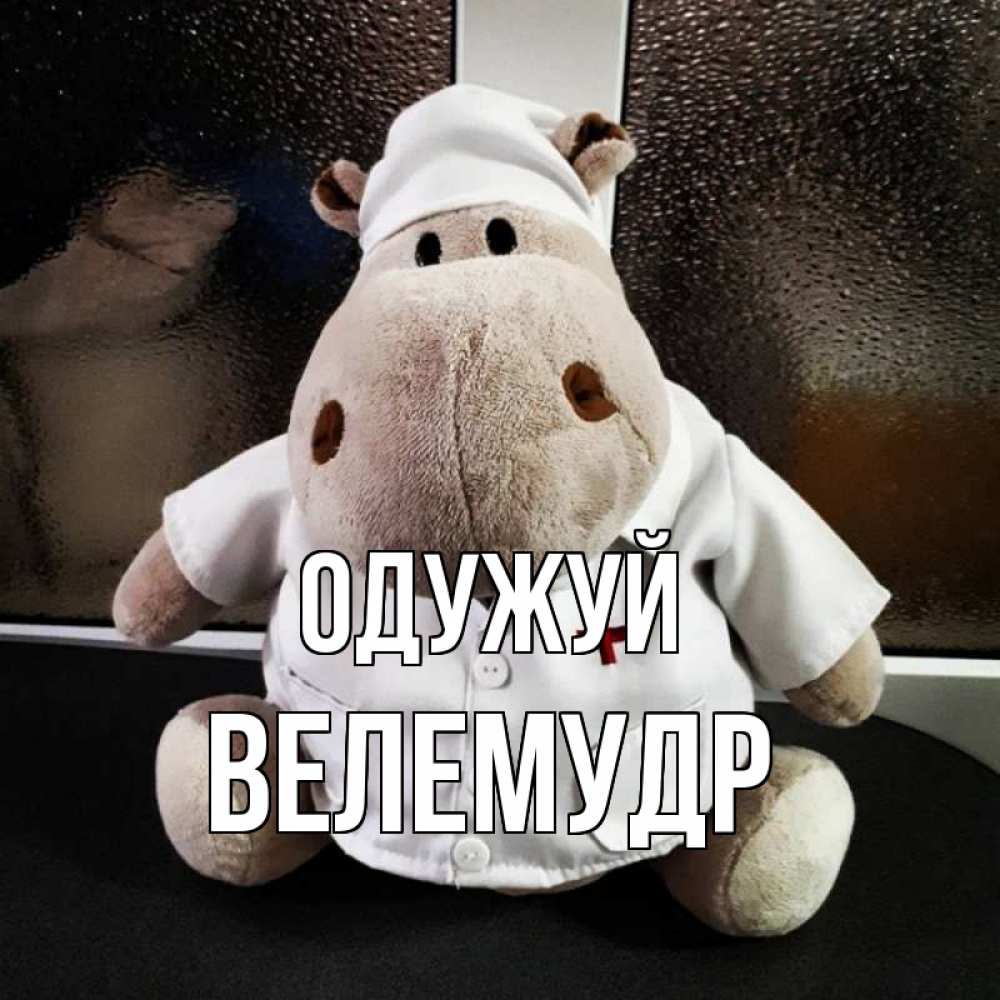 Открытка на каждый день з підписом, Велемудр Одужуй всех излечит исцелит Прикольна листівка з побажанням онлайн скачати безкоштовно 