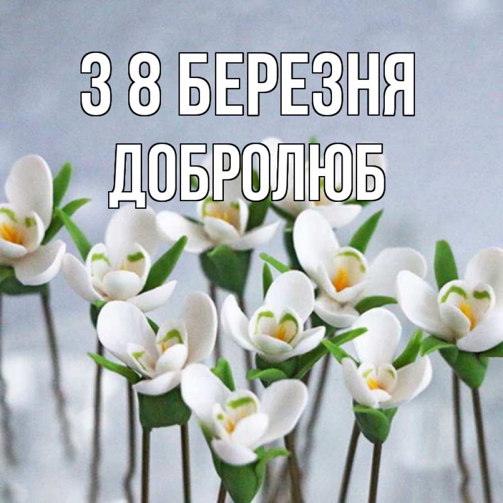 Открытка на каждый день з підписом, Добролюб З 8 БЕРЕЗНЯ весенние цветы Прикольна листівка з побажанням онлайн скачати безкоштовно 