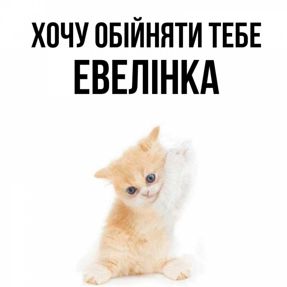 Открытка на каждый день з підписом, Евелінка Хочу обійняти тебе я хочу очень скорее обнимаешек Прикольна листівка з побажанням онлайн скачати безкоштовно 