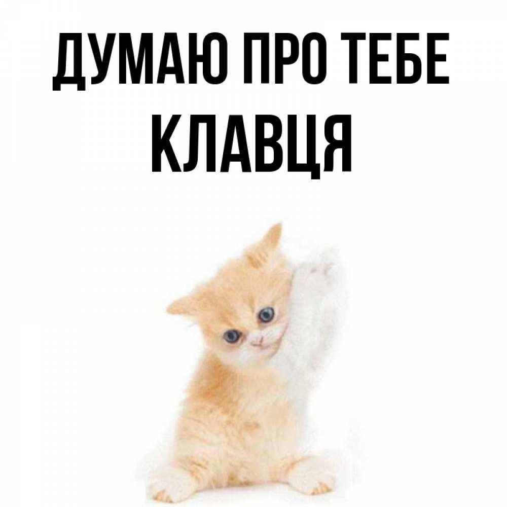 Открытка на каждый день з підписом, Клавця Думаю про тебе зверушки и милота Прикольна листівка з побажанням онлайн скачати безкоштовно 