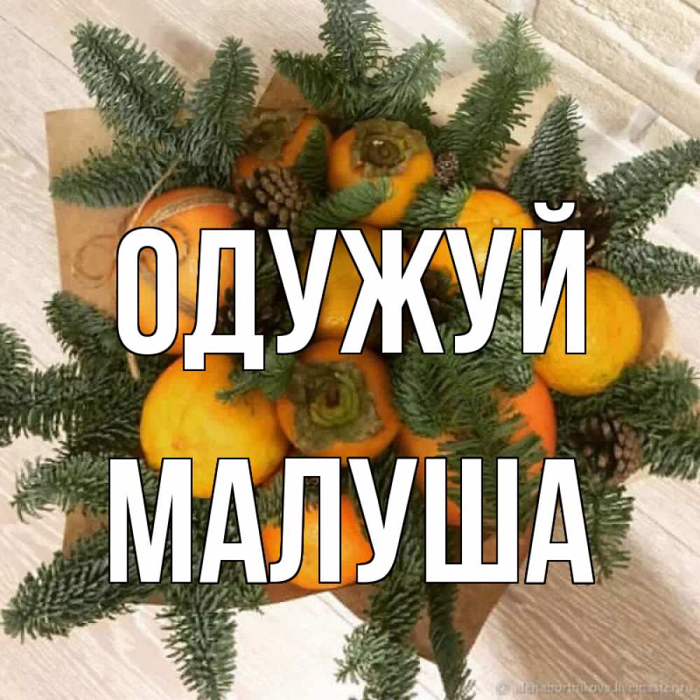 Открытка на каждый день з підписом, Малуша Одужуй апельсины и хурьма Прикольна листівка з побажанням онлайн скачати безкоштовно 