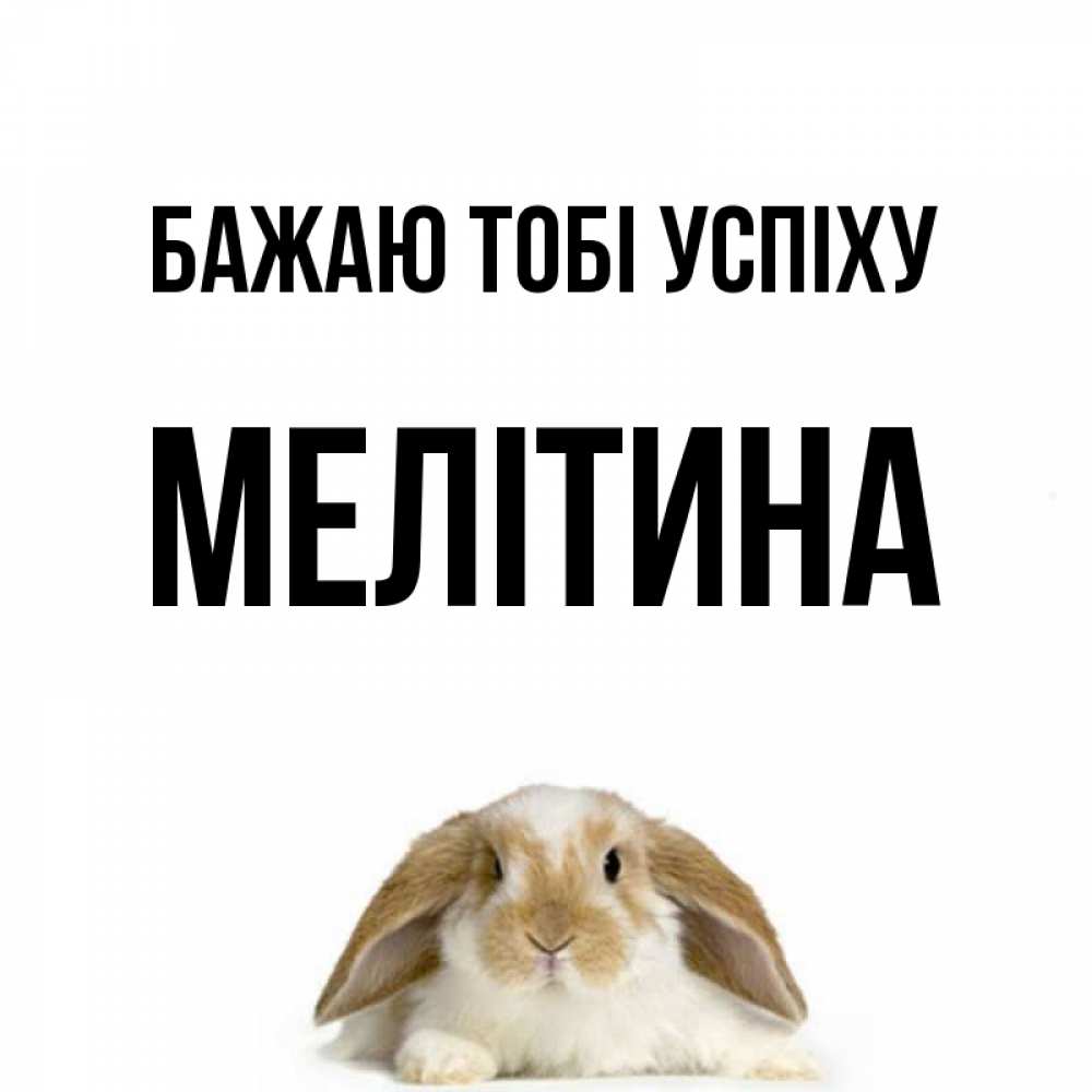 Открытка на каждый день з підписом, Мелітина Бажаю тобі успіху открытки с произвольным текстом который можно вставить в открытку и создать ее самостоятельно бесплатно онлайн Прикольна листівка з побажанням онлайн скачати безкоштовно 