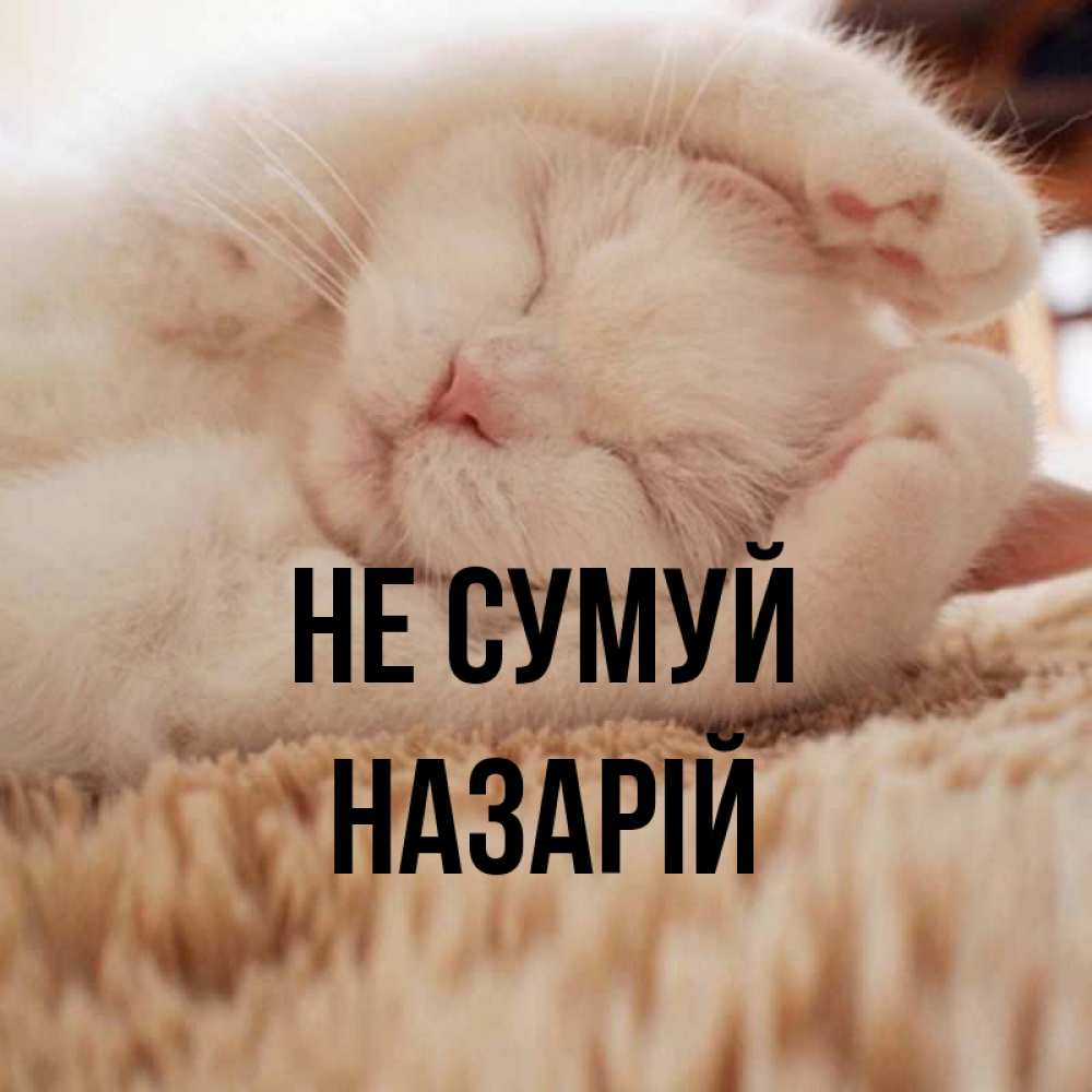 Открытка на каждый день з підписом, Назарій Не сумуй Котенок спит Прикольна листівка з побажанням онлайн скачати безкоштовно 