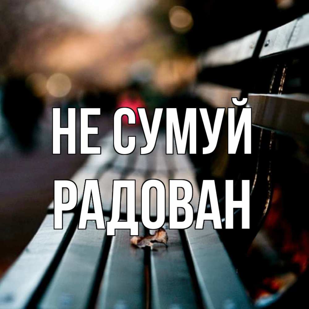 Открытка на каждый день з підписом, Радован Не сумуй размытый фон Прикольна листівка з побажанням онлайн скачати безкоштовно 