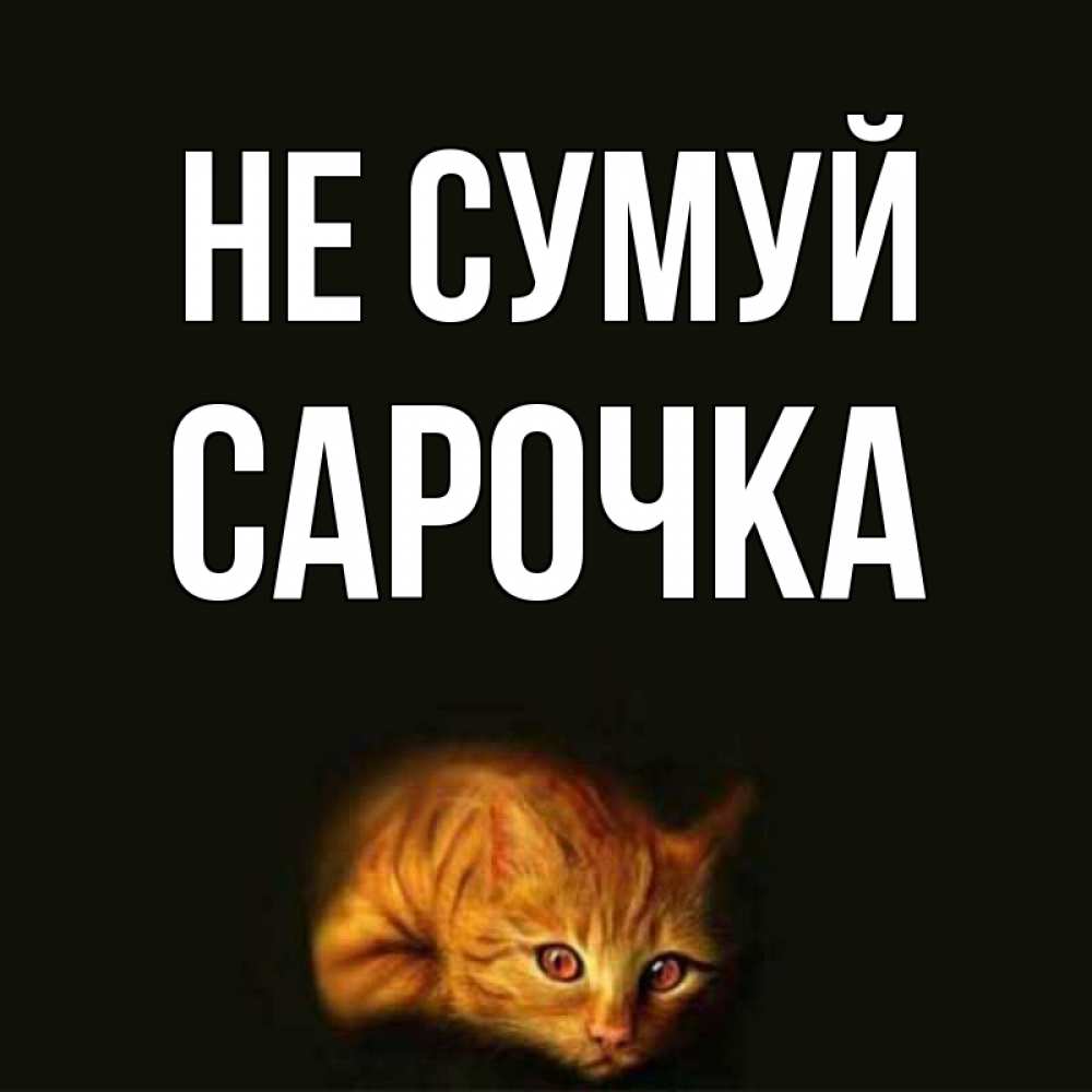 Открытка на каждый день з підписом, Сарочка Не сумуй лежащий кот в темноте Прикольна листівка з побажанням онлайн скачати безкоштовно 