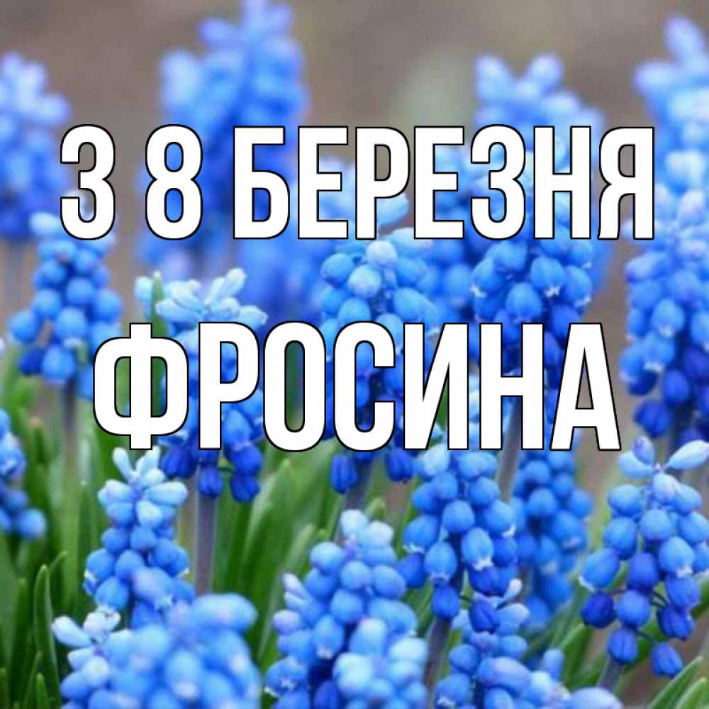Открытка на каждый день з підписом, Фросина З 8 БЕРЕЗНЯ Поздравительная открытка для женщин с цветами на праздничную дату Прикольна листівка з побажанням онлайн скачати безкоштовно 