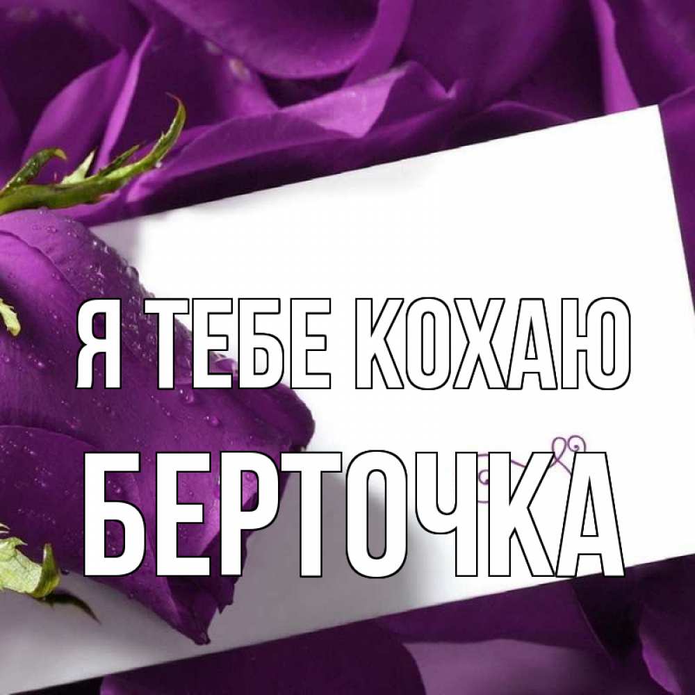 Открытка на каждый день з підписом, Берточка Я тебе кохаю роза Прикольна листівка з побажанням онлайн скачати безкоштовно 