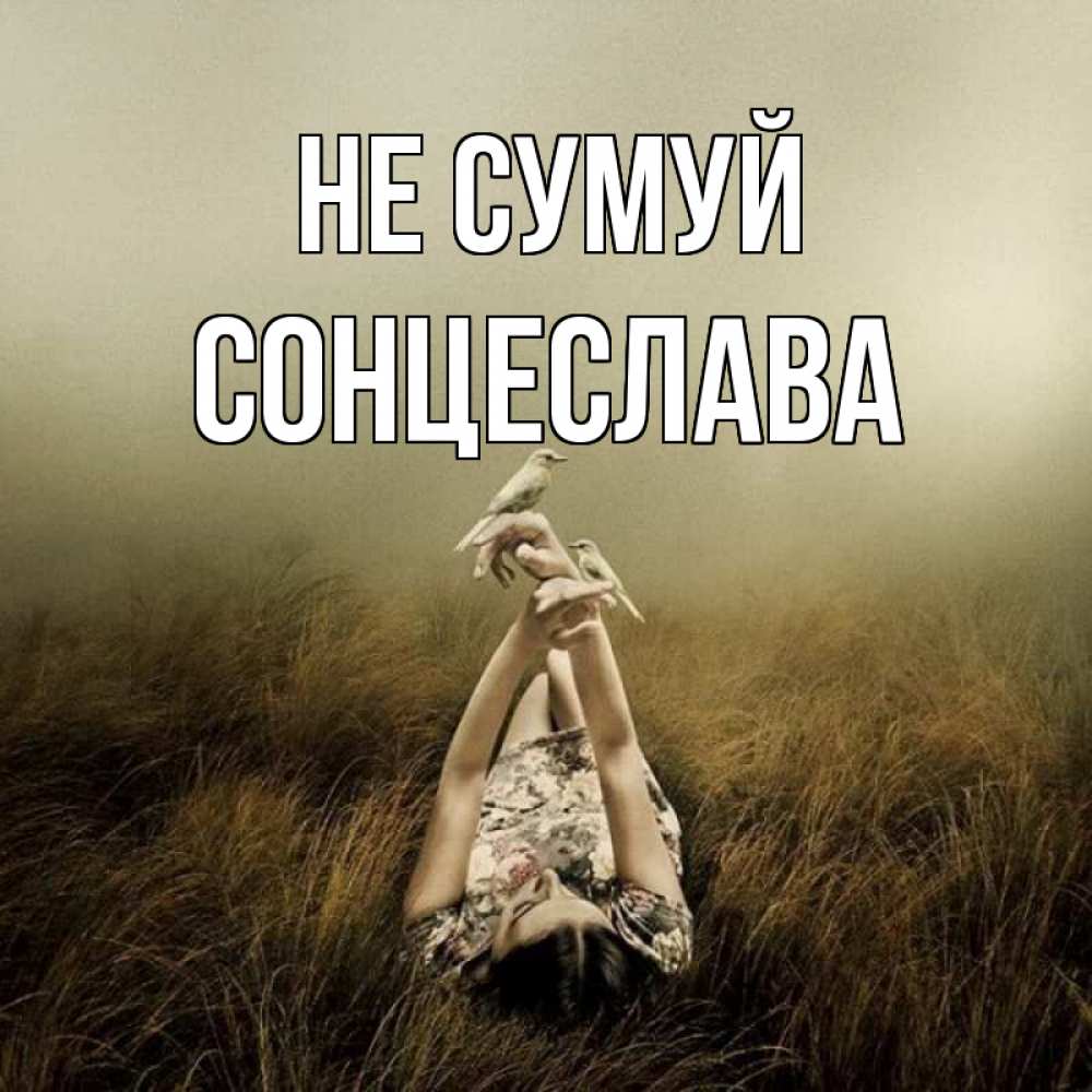 Открытка на каждый день з підписом, Сонцеслава Не сумуй поле и туман Прикольна листівка з побажанням онлайн скачати безкоштовно 