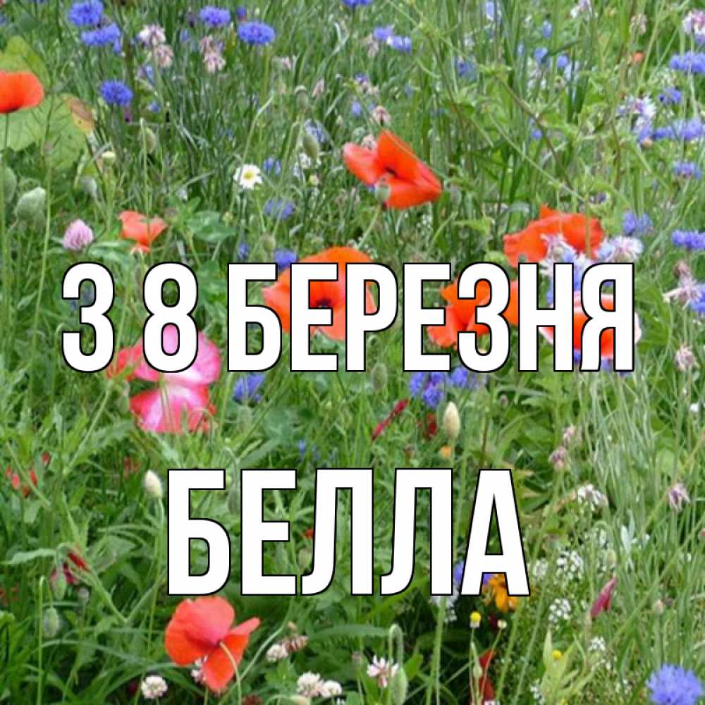 Открытка на каждый день з підписом, Белла З 8 БЕРЕЗНЯ международный женский день 4 Прикольна листівка з побажанням онлайн скачати безкоштовно 