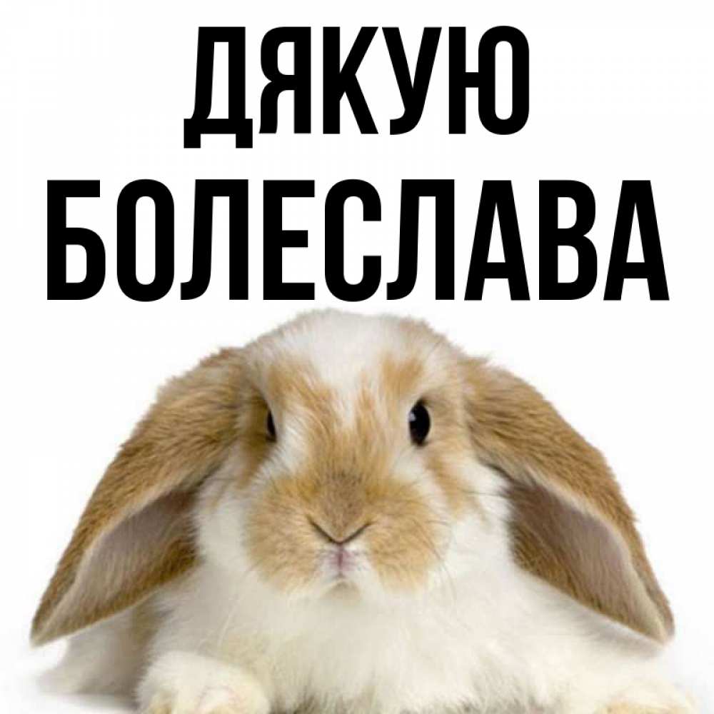 Открытка на каждый день з підписом, Болеслава Дякую коричнево белый заяц Прикольна листівка з побажанням онлайн скачати безкоштовно 