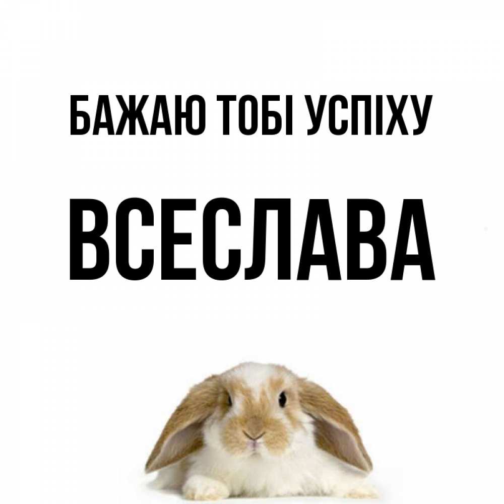 Открытка на каждый день з підписом, Всеслава Бажаю тобі успіху открытки с произвольным текстом который можно вставить в открытку и создать ее самостоятельно бесплатно онлайн Прикольна листівка з побажанням онлайн скачати безкоштовно 
