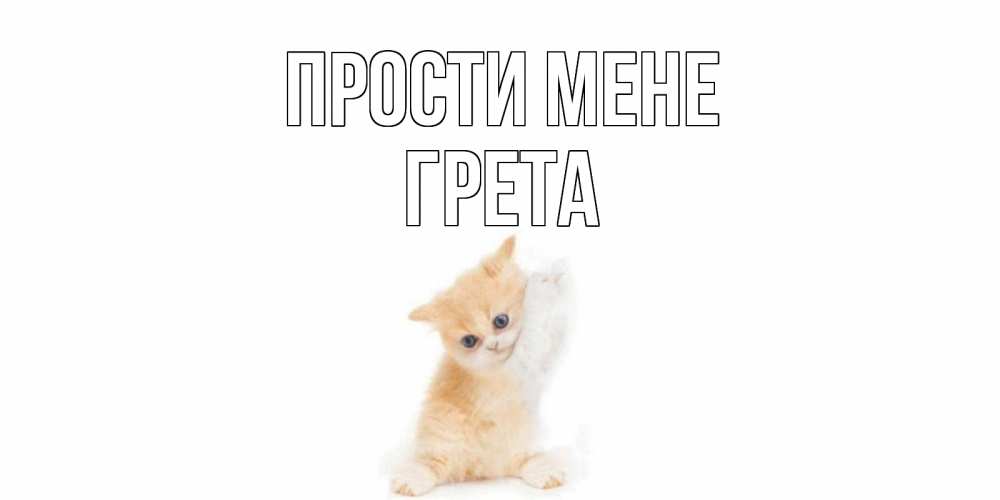 Открытка на каждый день з підписом, Грета Прости мене кот Прикольна листівка з побажанням онлайн скачати безкоштовно 