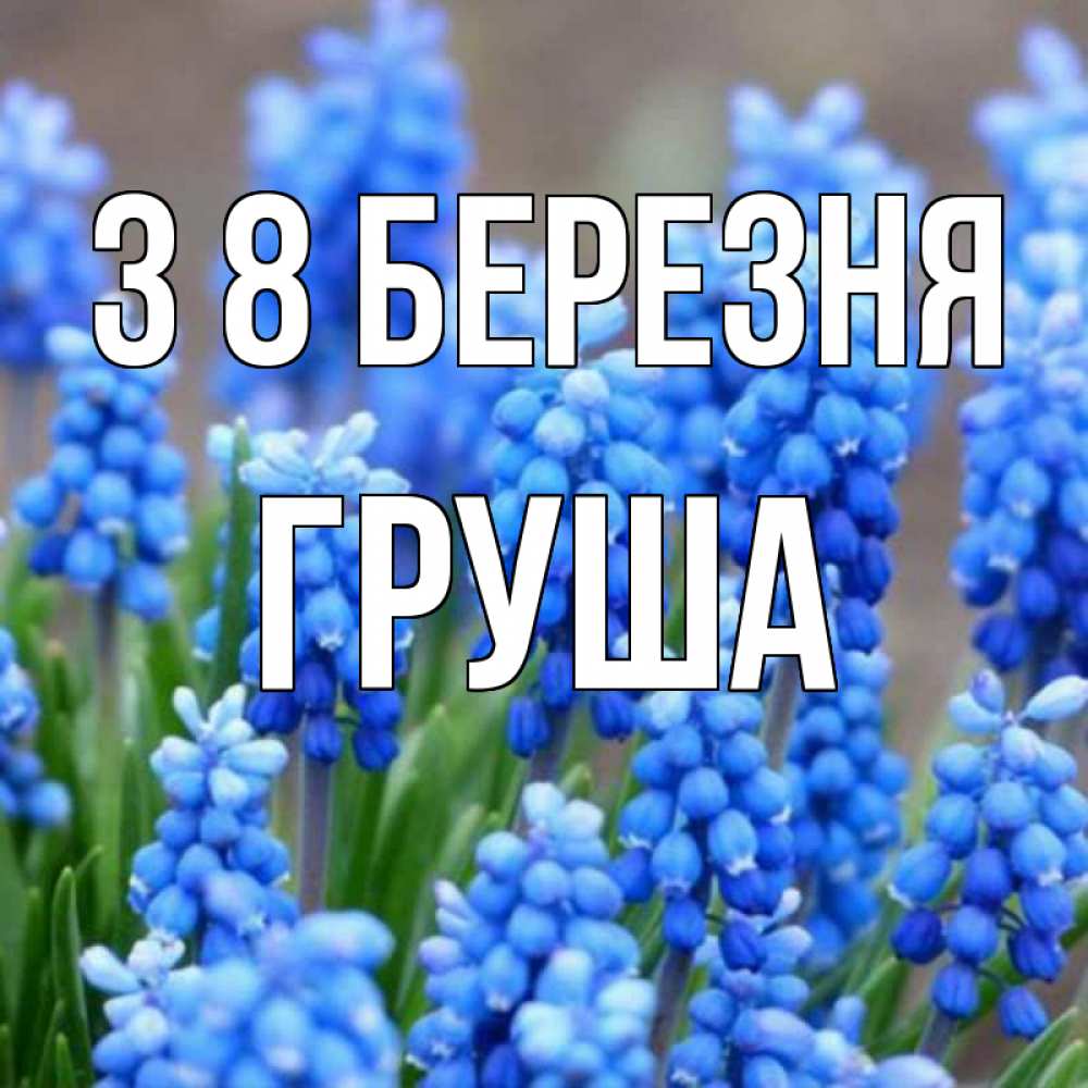 Открытка на каждый день з підписом, Груша З 8 БЕРЕЗНЯ Поздравительная открытка для женщин с цветами на праздничную дату Прикольна листівка з побажанням онлайн скачати безкоштовно 