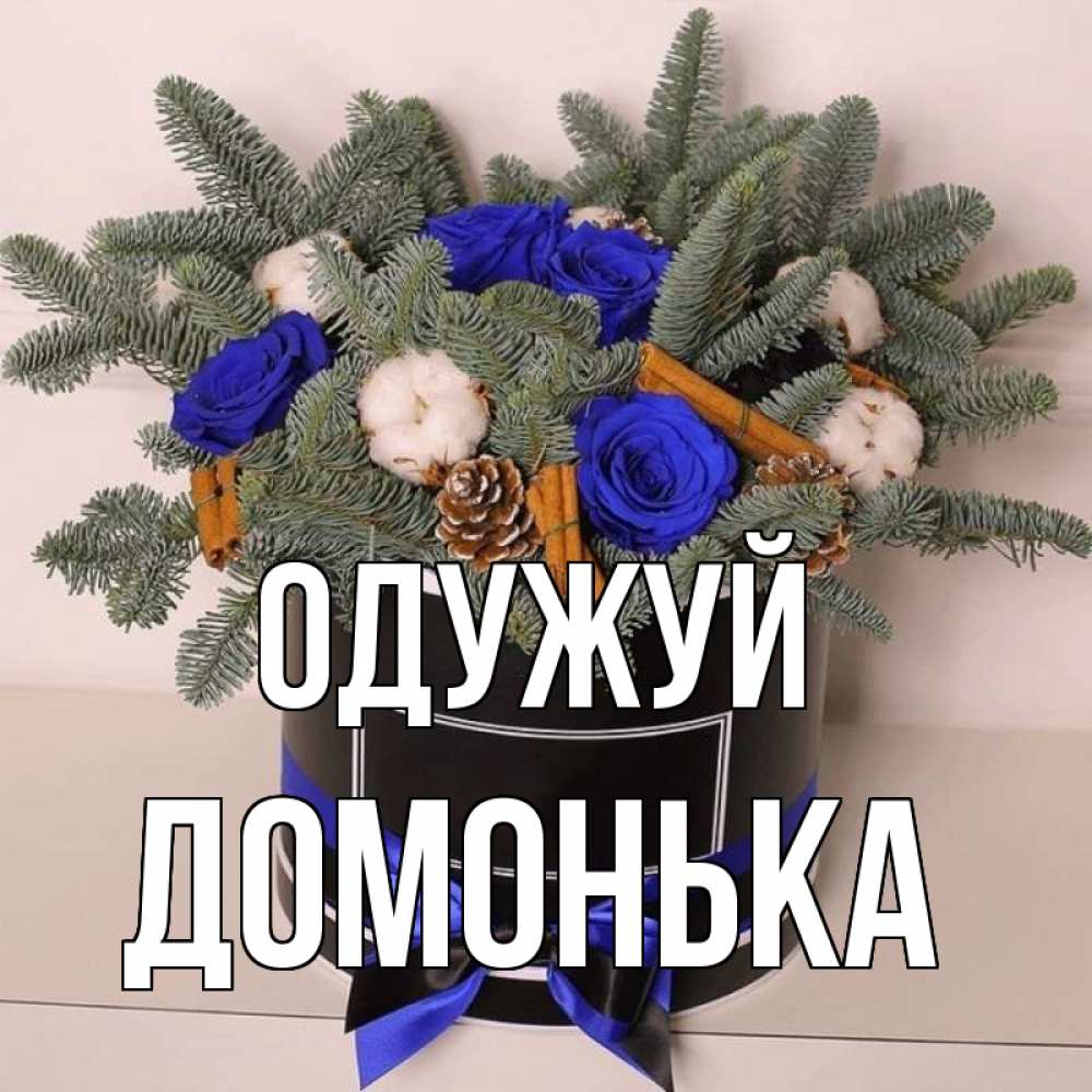 Открытка на каждый день з підписом, Домонька Одужуй короче кто то загрузил эти шишки Прикольна листівка з побажанням онлайн скачати безкоштовно 