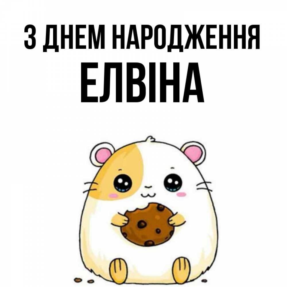 Открытка на каждый день з підписом, Елвіна З Днем народження с днюхой Прикольна листівка з побажанням онлайн скачати безкоштовно 