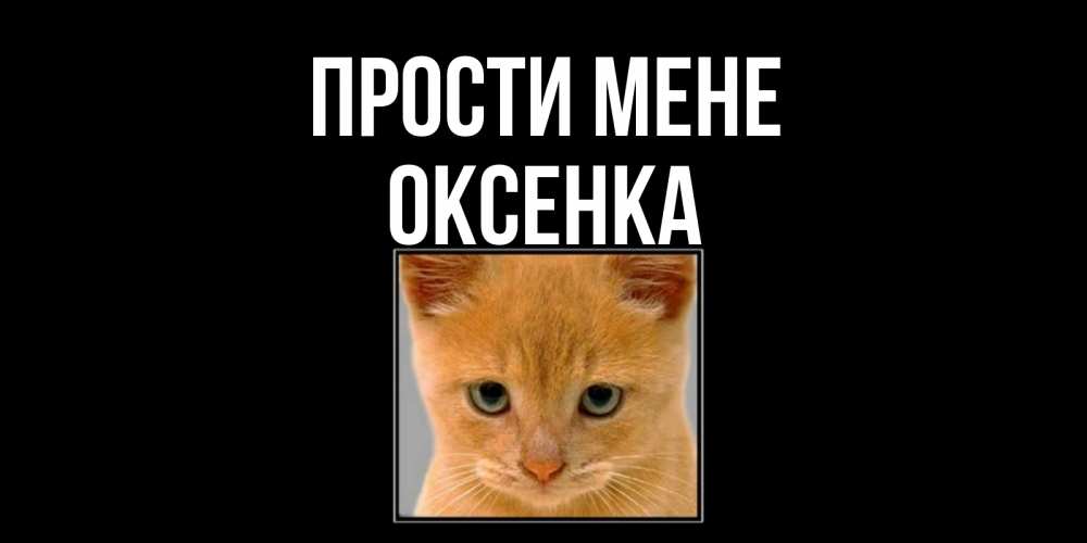 Открытка на каждый день з підписом, Оксенка Прости мене рыжий грустный кот просит прощения Прикольна листівка з побажанням онлайн скачати безкоштовно 