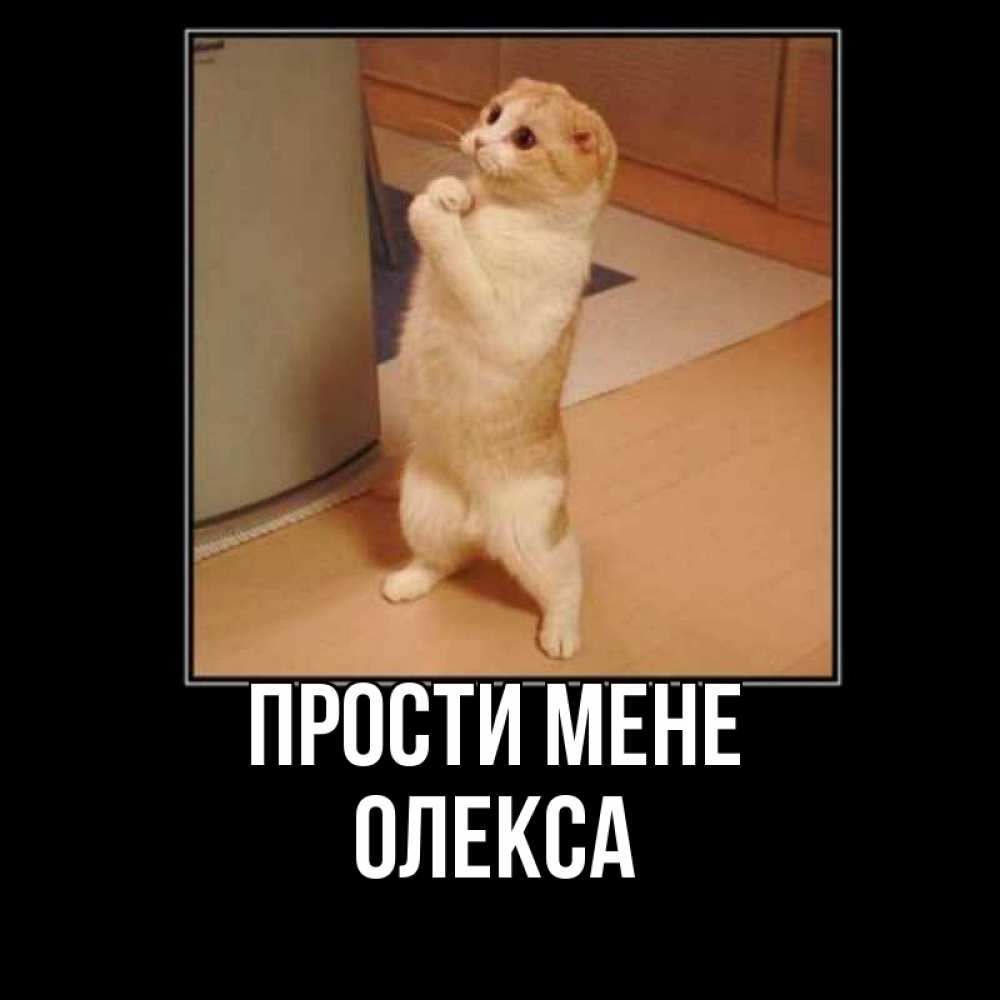 Открытка на каждый день з підписом, Олекса Прости мене открытка с милым несчастным котиком просящим прощения Прикольна листівка з побажанням онлайн скачати безкоштовно 